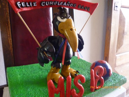 cumple de Raul , sus 18 añitos